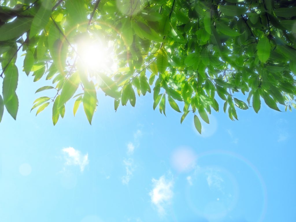 だから「発達障害は個性」